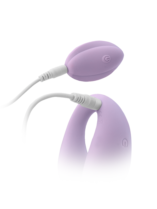 In Sync
Remote Controlled Couples Massager