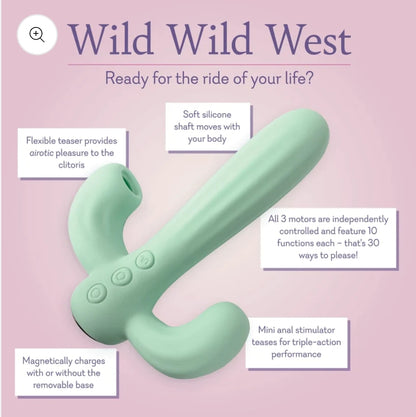 Wild Wild West