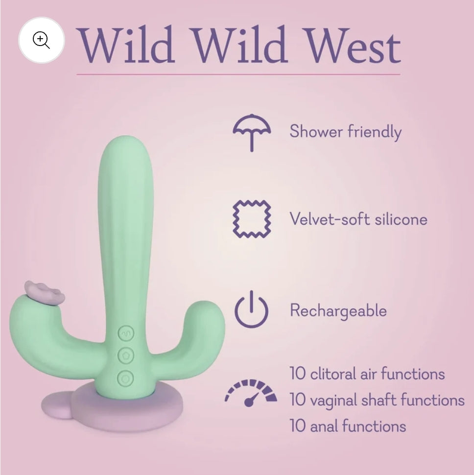 Wild Wild West