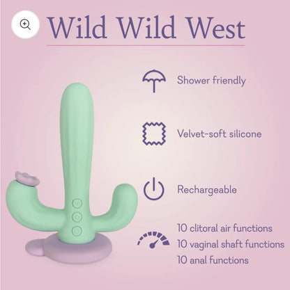 Wild Wild West