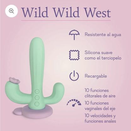 Wild Wild West