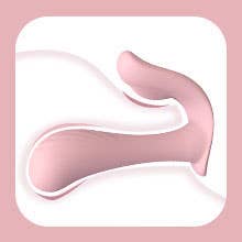 "Tracy's Dog" Wearable Panty Vibrator Pink